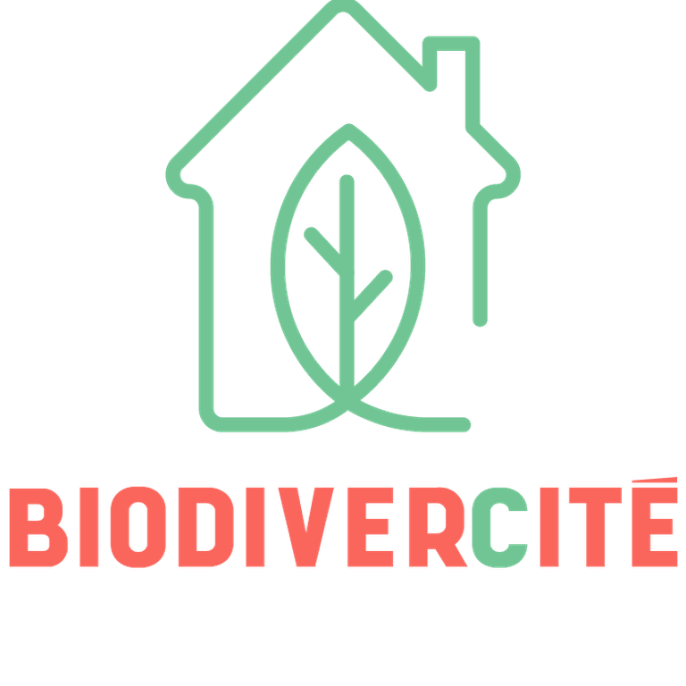 logo_biodivercite_V.png